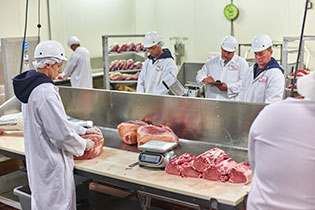 USDA meat cutting facility in Taylor PA